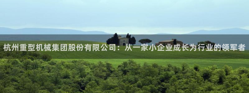 龙八国际是干什么的