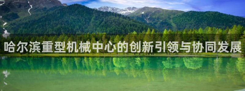 龙八国际版游戏