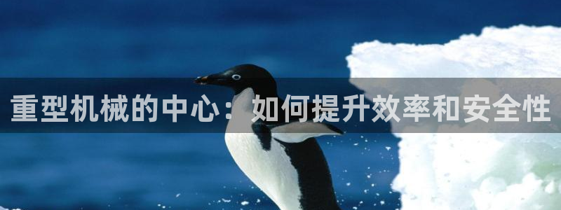 天津龙八国际