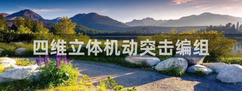 龙八国际apPP