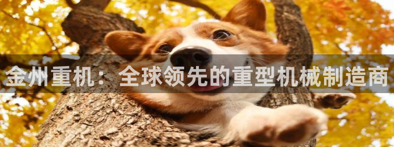 龙八国际网店客服电话