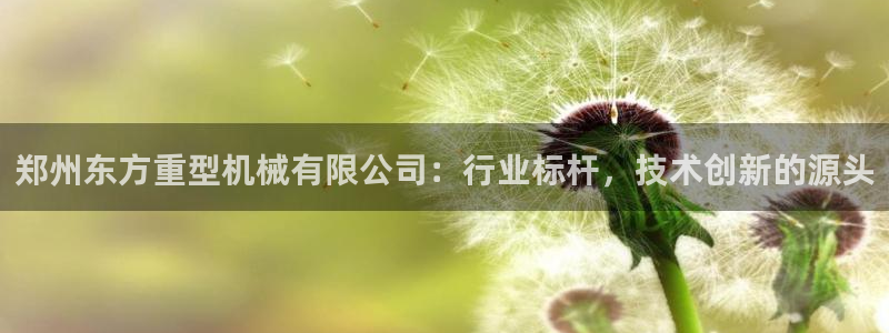 手机版龙八国际