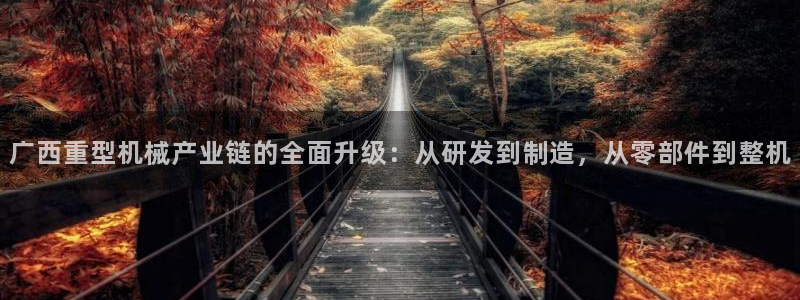 龙八国际服官方