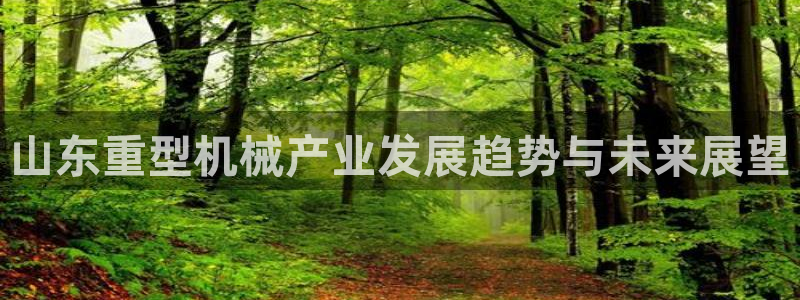 龙八国际网址是什么