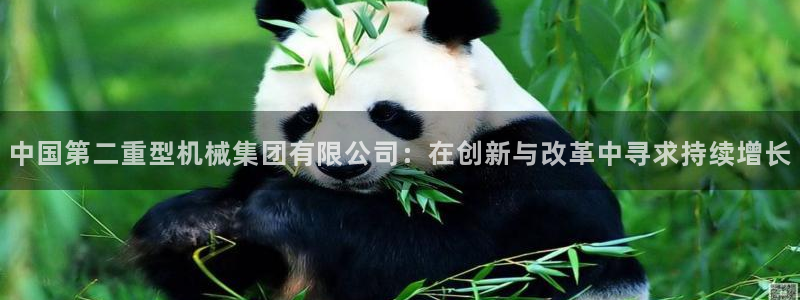 龙八国际电脑版下载