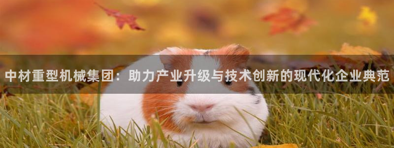 龙八国际服官网下载安卓