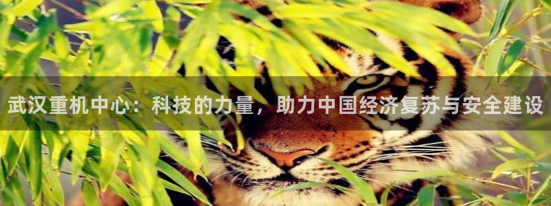 龙八国际l8520