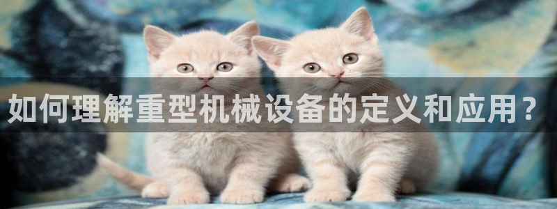 龙八国际视频入口