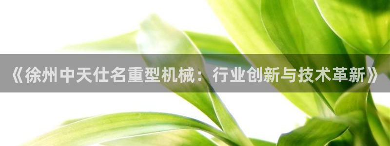 龙八国际娱乐app下载