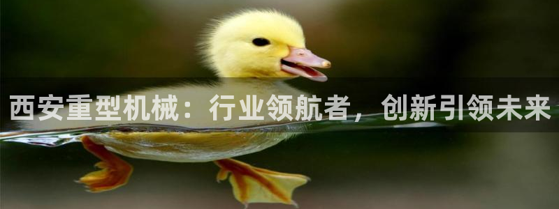 龙八国际下载链接官网