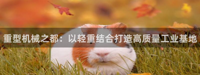 龙八国际提现待审核