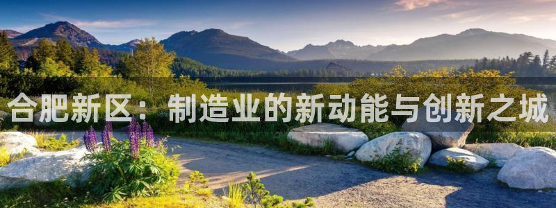 龙八国际现金