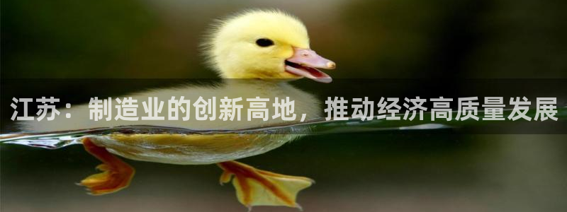 龙八国际app客户下载