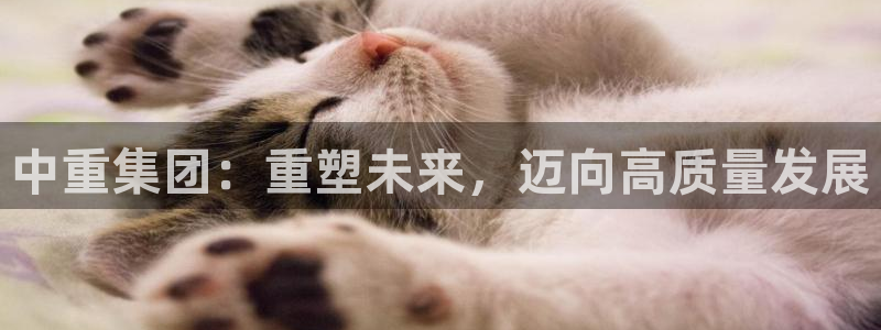 龙八国际娱乐网站多少