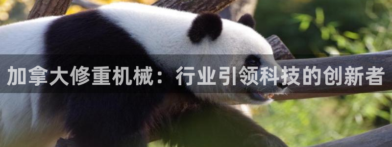 龙八国际mg老虎机