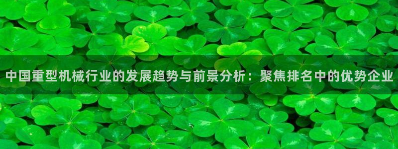 龙八国际头号玩家下截
