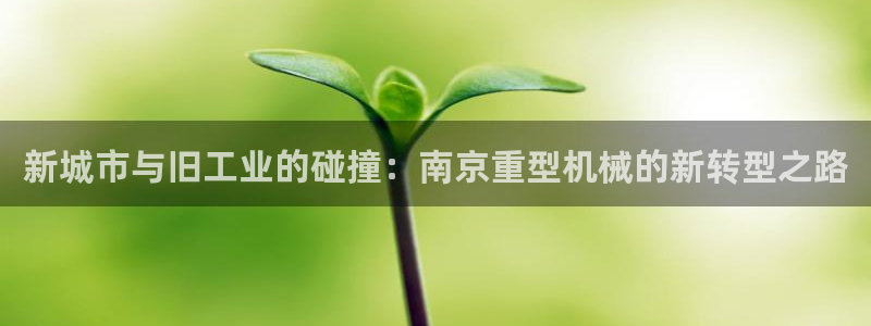 龙八国际app官方下载