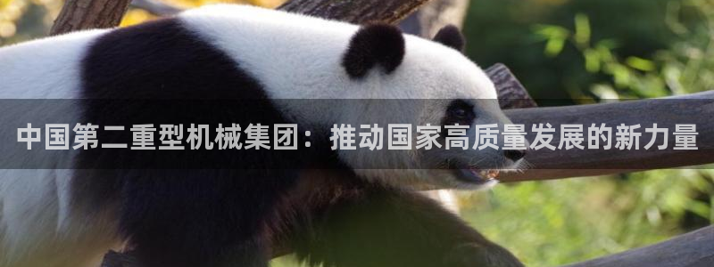 下载龙八国际手机版