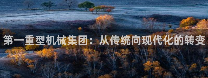 龙八国际公司是真是假