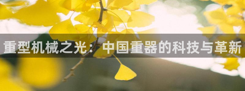 龙八国际app是什么