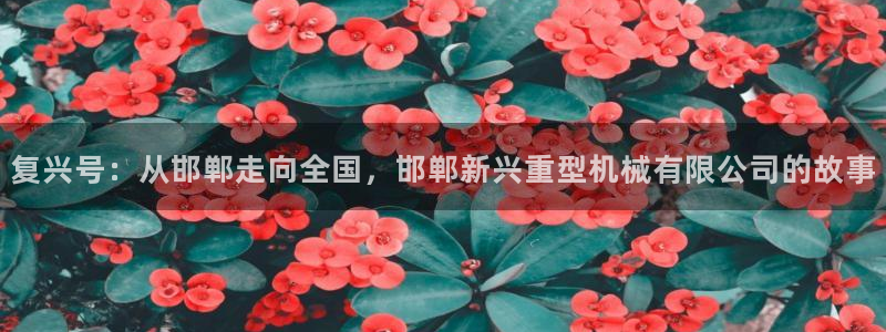 龙八国际客户端下载安装