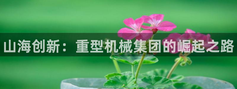 龙八国际网页long123
