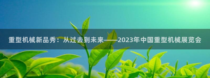 龙八国际娱乐网站多少