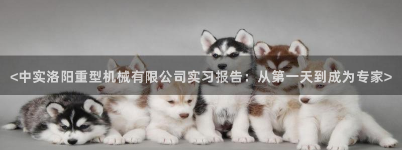 龙八国际娯乐城