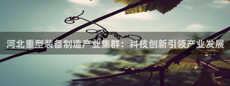 龙八国际链接