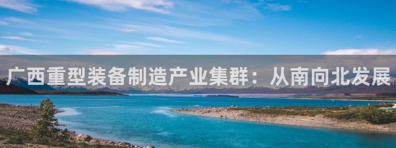龙八国际 我的