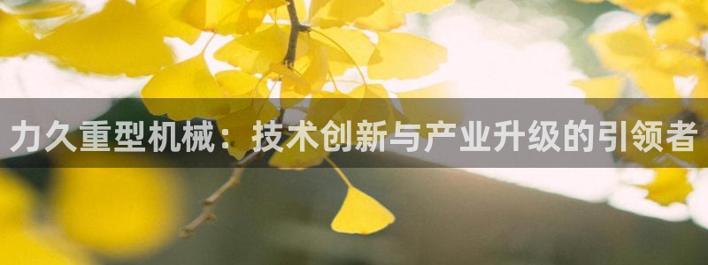 龙八国际靠谱吗