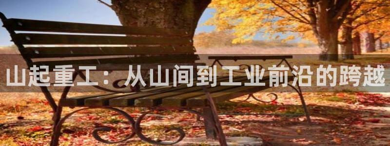 龙八国际l8520