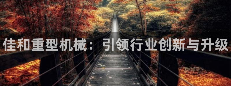下载龙八国际手机版游戏