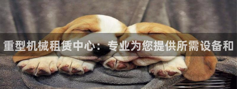 龙八国际客户端