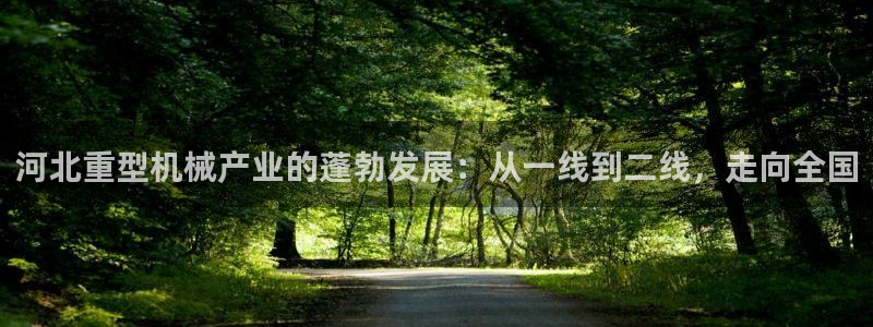 龙八国际体育