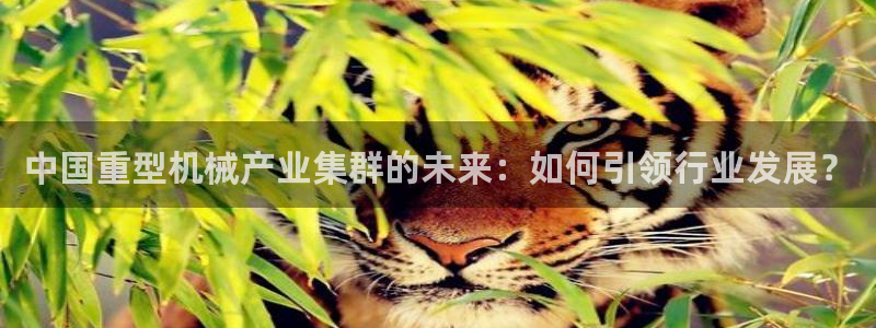 龙八国际赌博经验