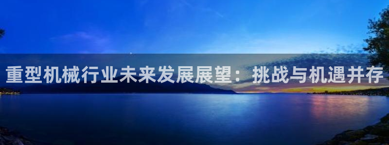 龙八国际这个平台在哪里