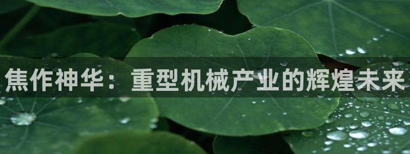 龙八国际害死多少人