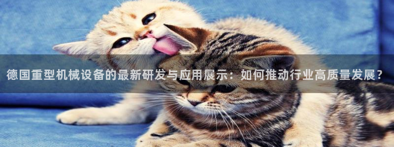 龙八国际app客户端下载手机端