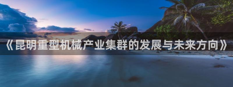 龙八国际apPP