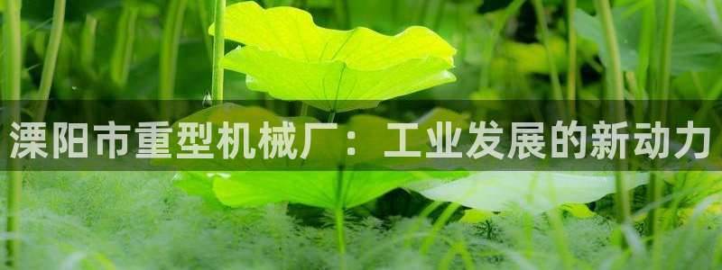 龙八国际是什么
