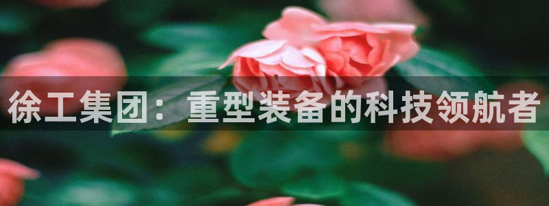 龙八国际下载链接