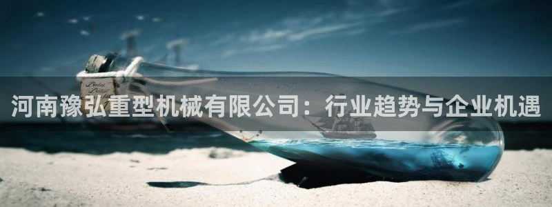 龙八国际安全