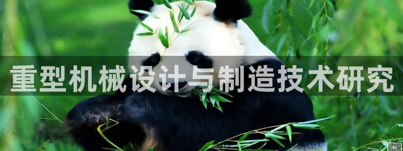 龙八国际网b48点tv