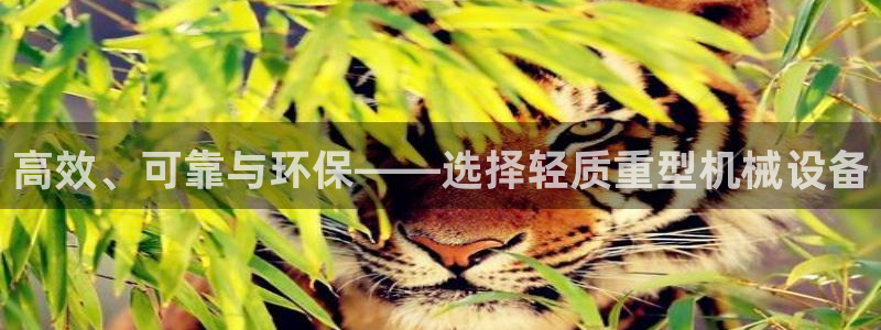 龙八国际网店客服电话
