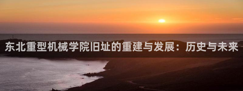 龙八国际是什么软件