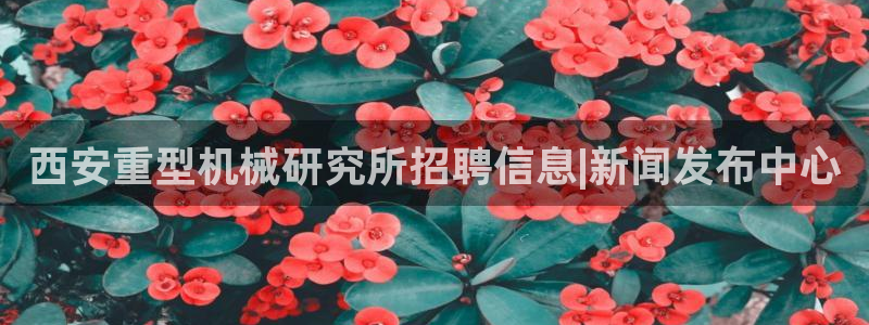 龙八国际app骗局