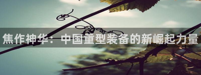 龙八国际是什么