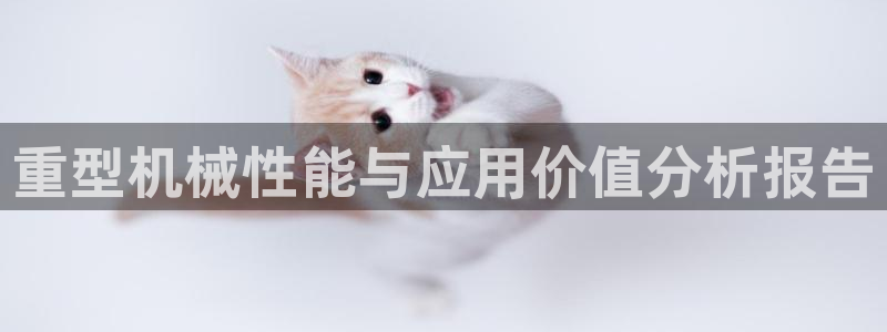 龙八国际是什么