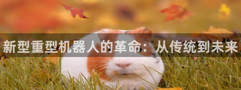 下载龙八国际手机版手游